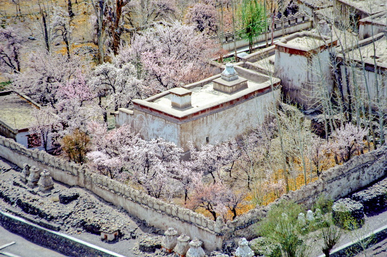 Alchi_CL00 55,15.jpg