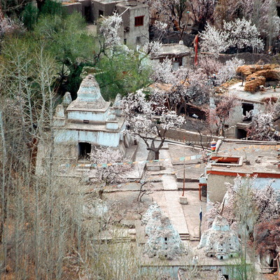 Palden Drepung Chörten
