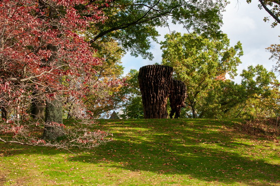 StormKingAC CL11-9658