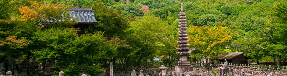 Kyoto AdashinoNenbutsuji CL11-8277