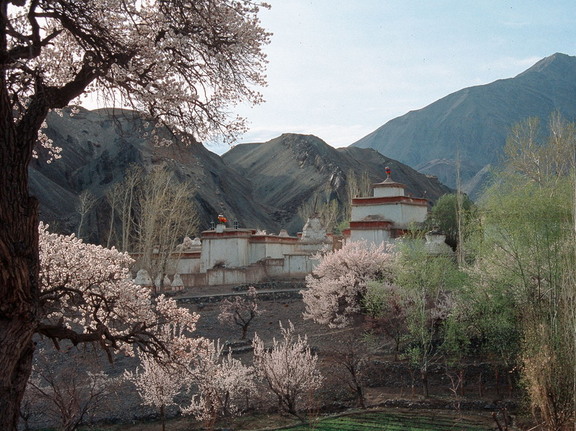 Alchi Choskhor