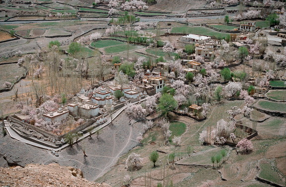 Alchi Choskhor