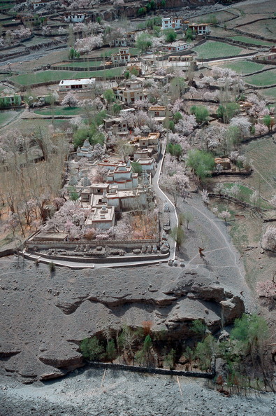 Alchi CL00 55,08.jpg