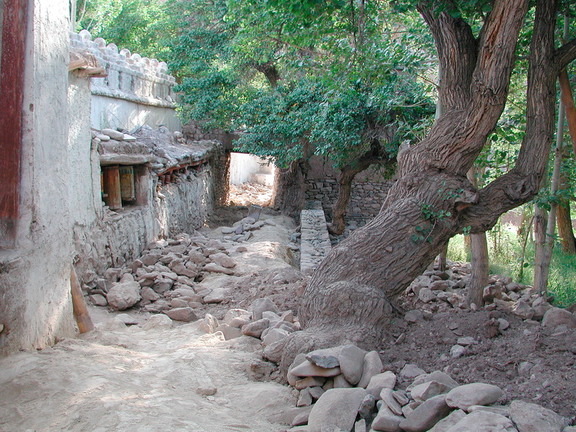 Alchi Choskhor