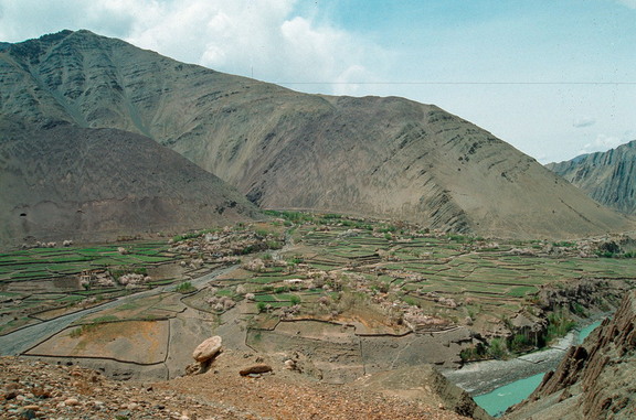 Alchi Village