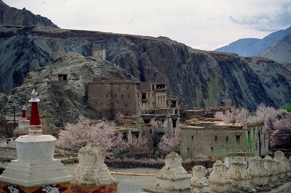 Alchi Village