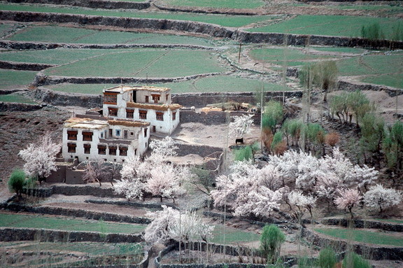 Alchi Village