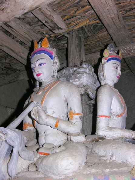 LalungVT CL05 D3511.jpg
