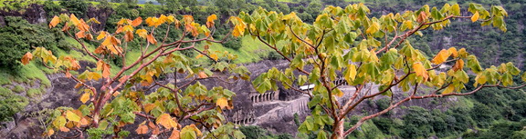 Ajanta CL 20070825 0823