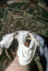 Painted Ceiling