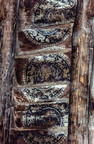 Ceiling