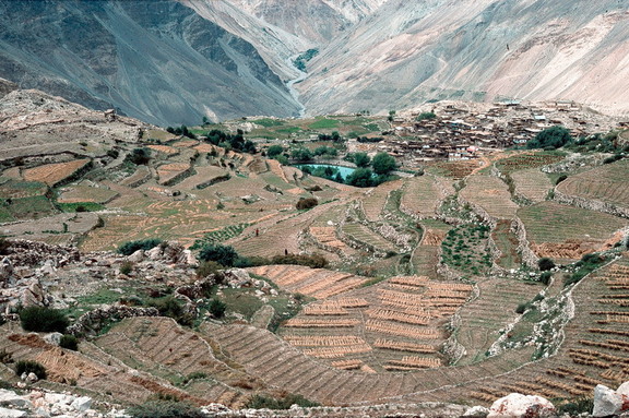 Village