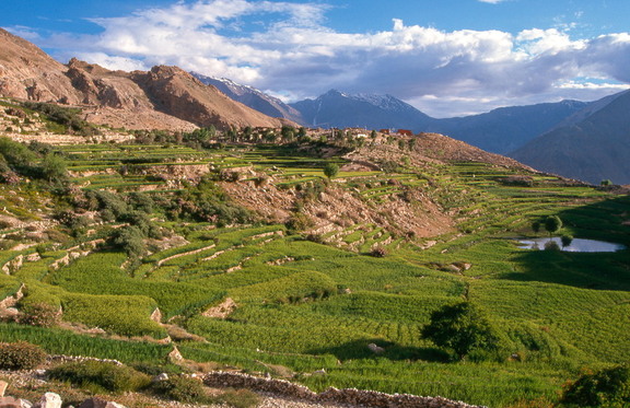 Village