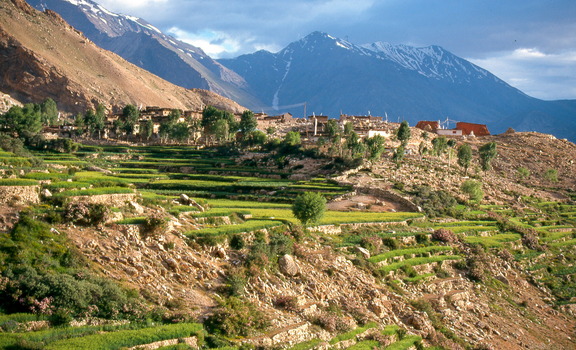 Village