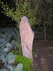 Poo CL06 8548
