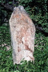 Poo CL94 61 20