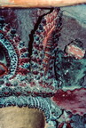 Maitreya