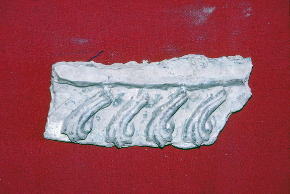 25to29Fig037 N28 CL94 89 12