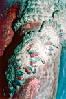 CL94 118,21