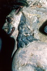 CL94 118,13
