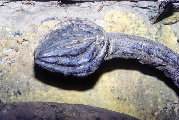 CL94 118,16