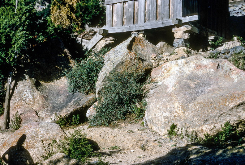 Ribba_CL94 146_3.jpg