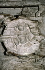 Ribba CL94 106 4